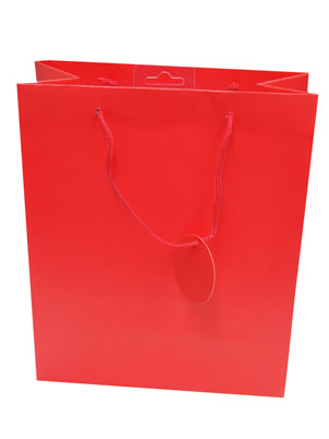 Gift Bag (Large): Red