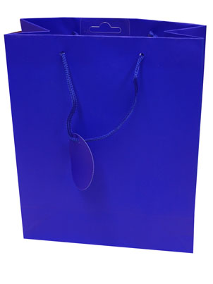 Gift Bag (Large): Blue