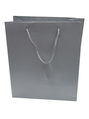 Gift Bag (Large): Silver