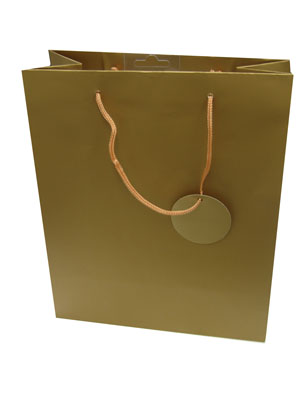 Gift Bag (Large): Gold