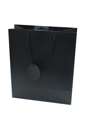 Gift Bag (Medium): Black