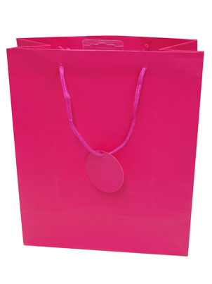 Gift Bag (Medium): Cerise