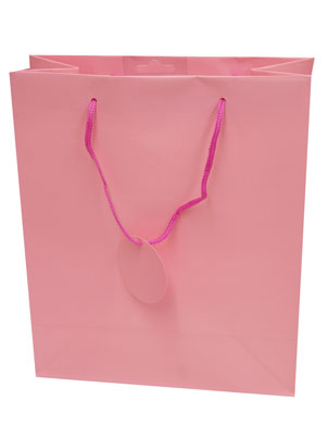 Gift Bag (Medium): Pink