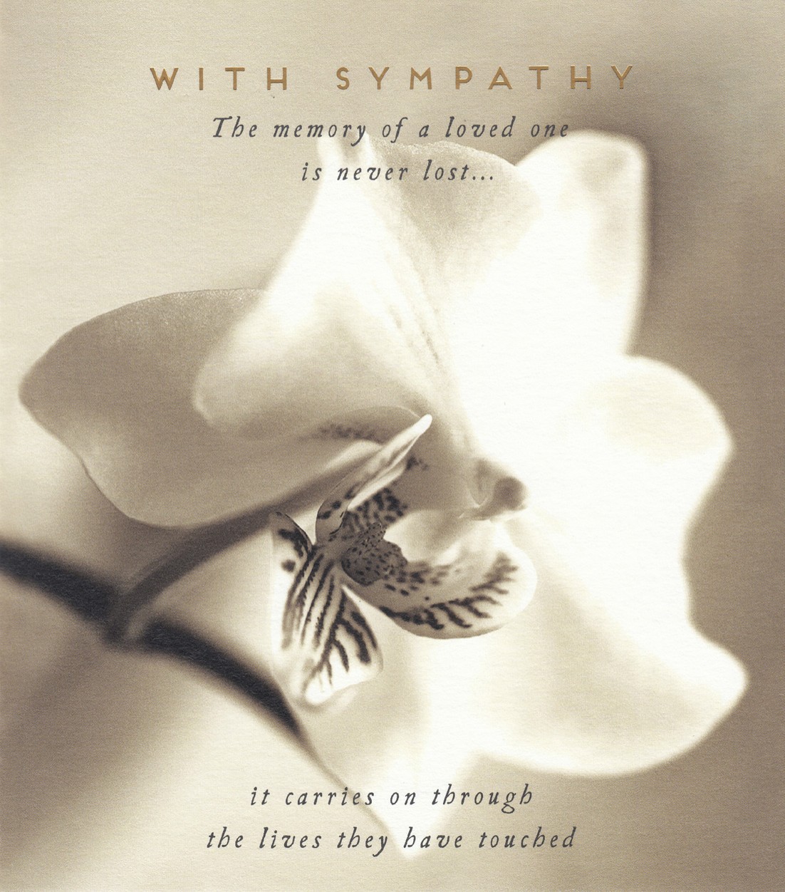 Sympathy Black And White