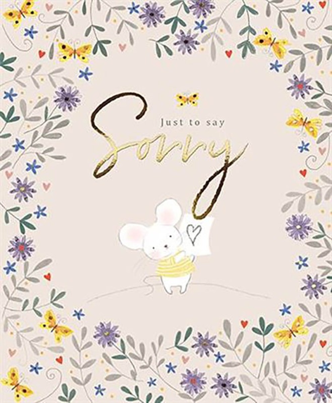 Mousekins: Just To Say Sorry