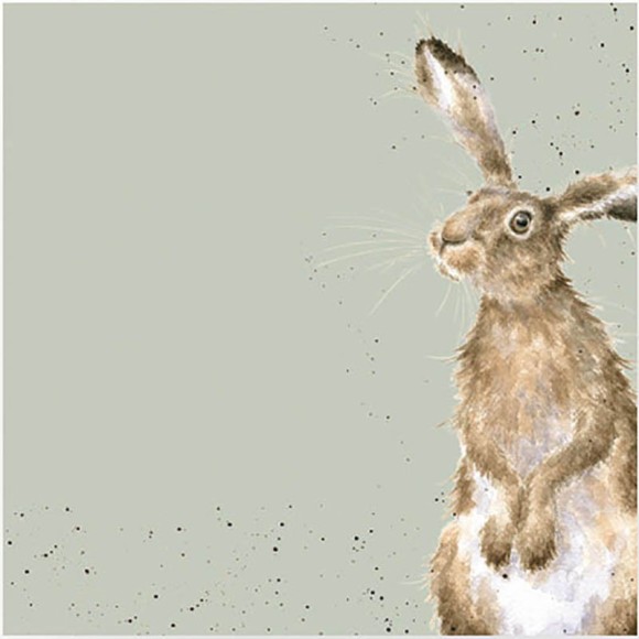 Napkin (Lunch): Hare
