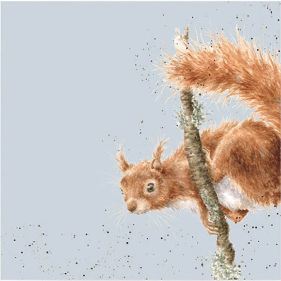 Napkin (Lunch): Squirrel