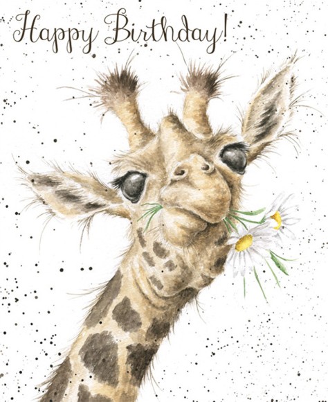 Birthday Giraffe