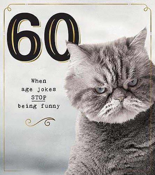 Funny Works: 60 Male Cat Jokes