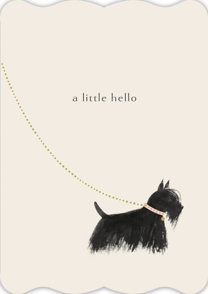 Fox & Butler: Hello Scottie