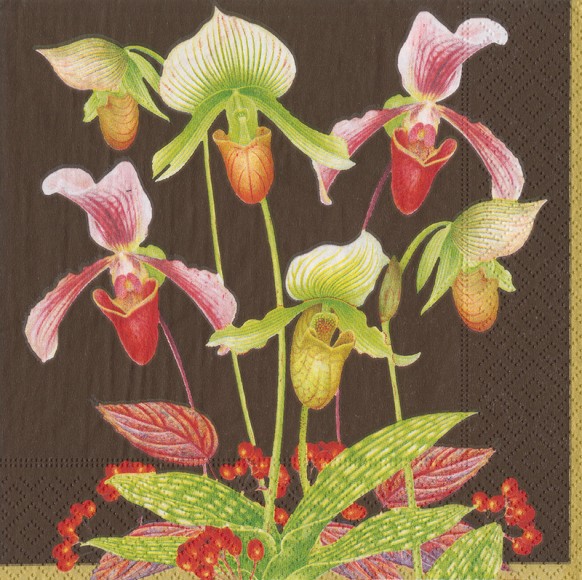 Napkin (Lunch): Slipper Orchid Brown