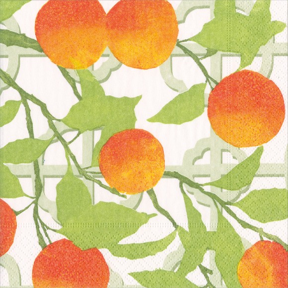 Napkin (Cocktail): Orange Grove