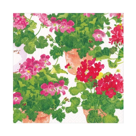 Napkin (Lunch): Trailing Geranium