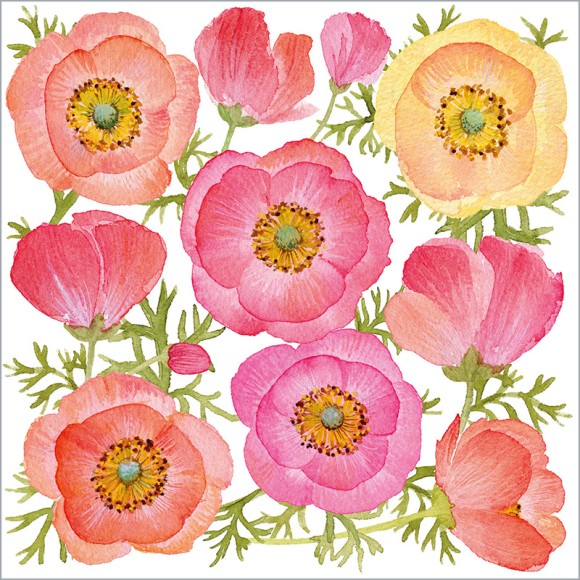 Napkin (Lunch): Poppy Paradise