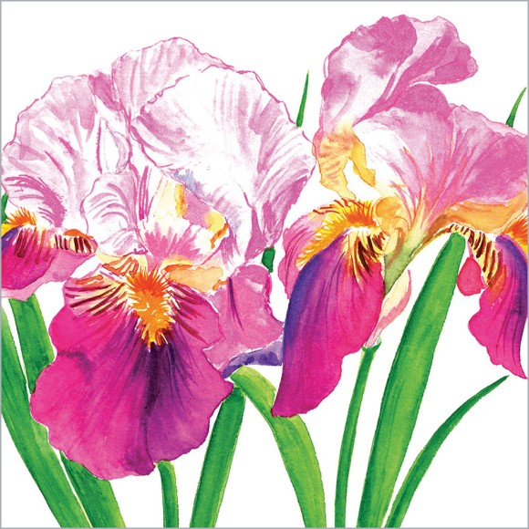 Napkin (Lunch): Sweet Iris