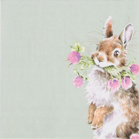 Napkin (Lunch): Rabbit