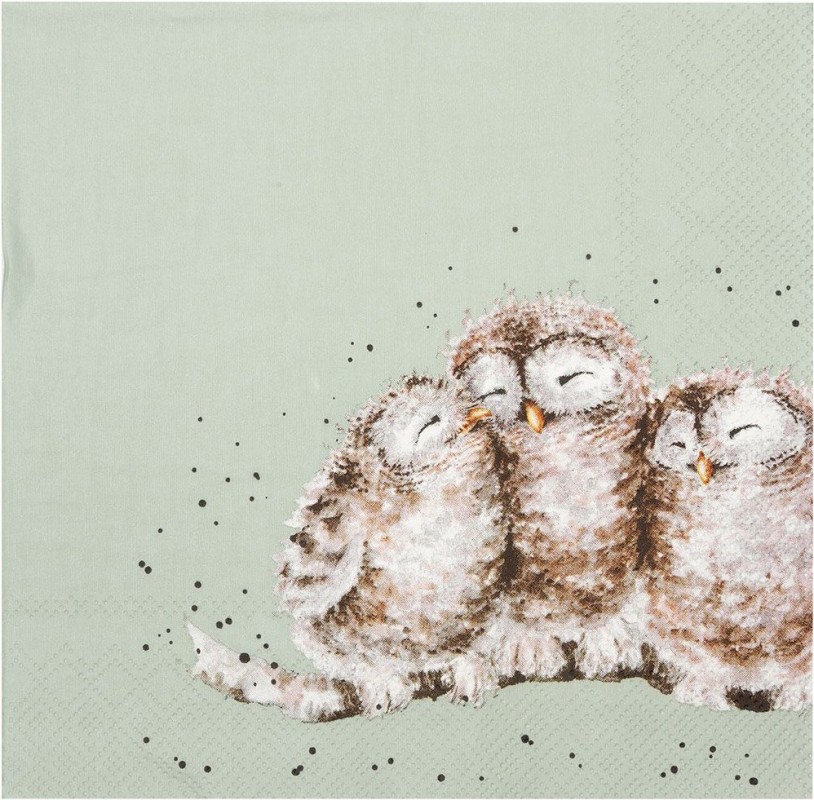 Napkin (Lunch): Owls