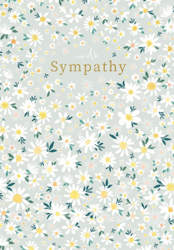 Sympathy Daisies