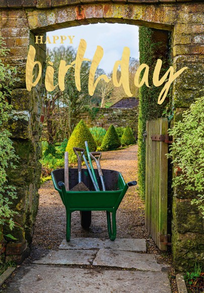 Graphite Birthday Gardening