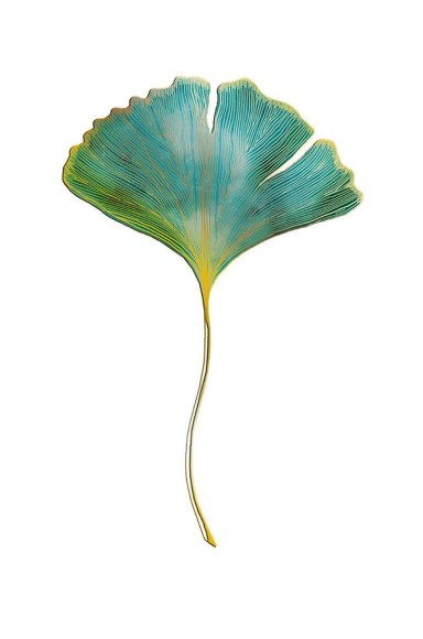 Icones Gingko Leaf