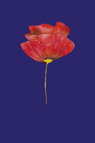 Icones Red Poppy