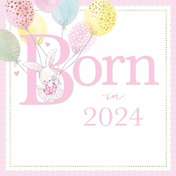 Baby Girl Born In 2024