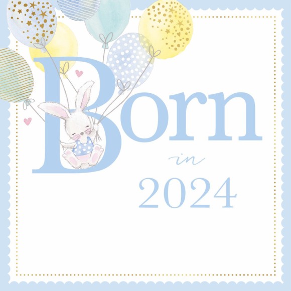 Baby Boy Born In 2024