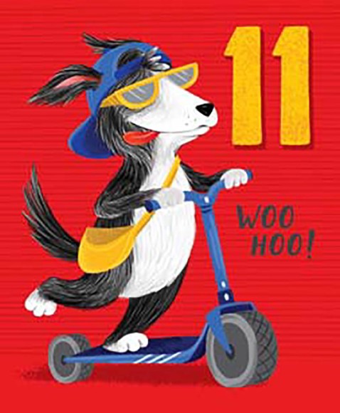 11 Boy Dog Scooter