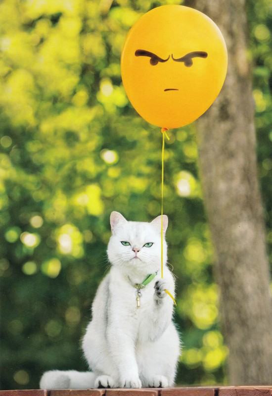 Avanti Cat With Balloon ^