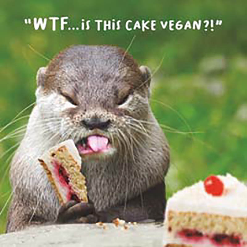 Virtual Safari Vegan Cake