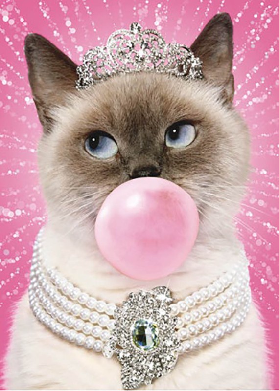 Avanti Cat Bubblegum