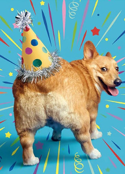 Avanti Corgi Party Hat