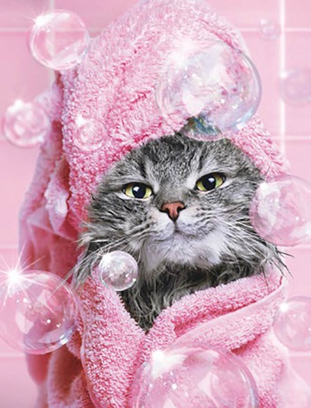 Avanti Cat Pink Bath Towel