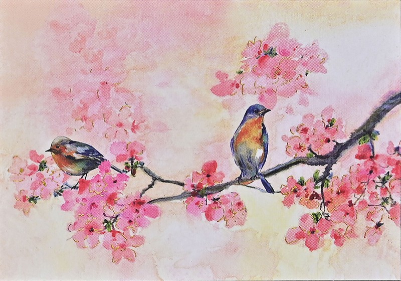 Notecards Cherry Blossom