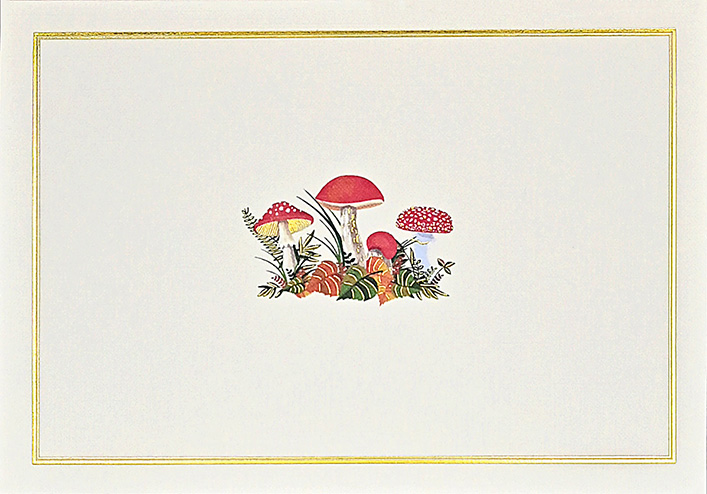 Notecards Mushrooms