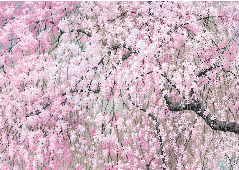 Notecards Cherry Blossoms