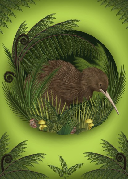 Anna Evans: Kiwi