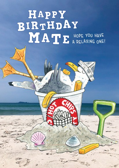 Matt Coates: Male Birthday Seagull Mate