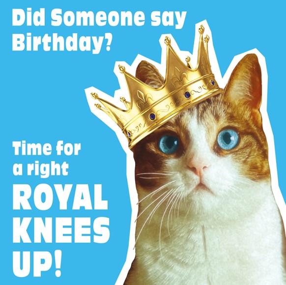 Funkymals: Royal Cat