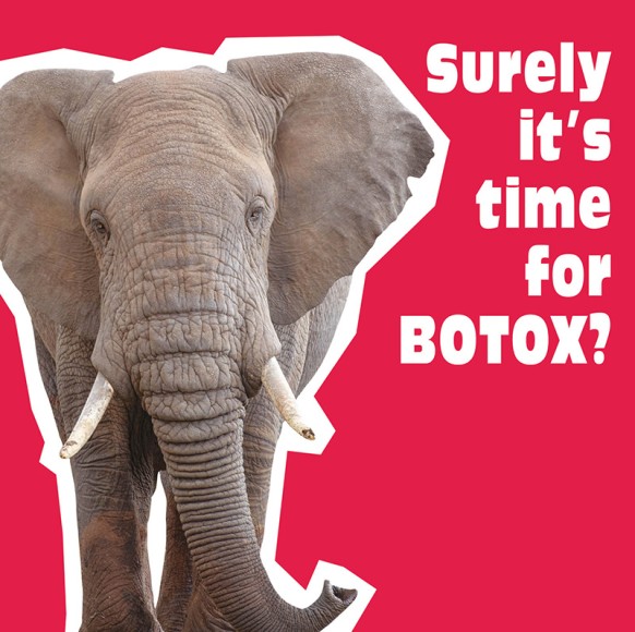 Funkymals: Botox Elephant