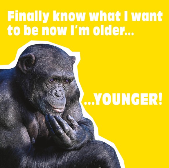 Funkymals: Younger Chimp