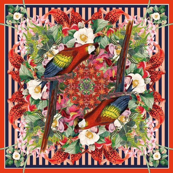 Paradise: Flowerbomb Parrot